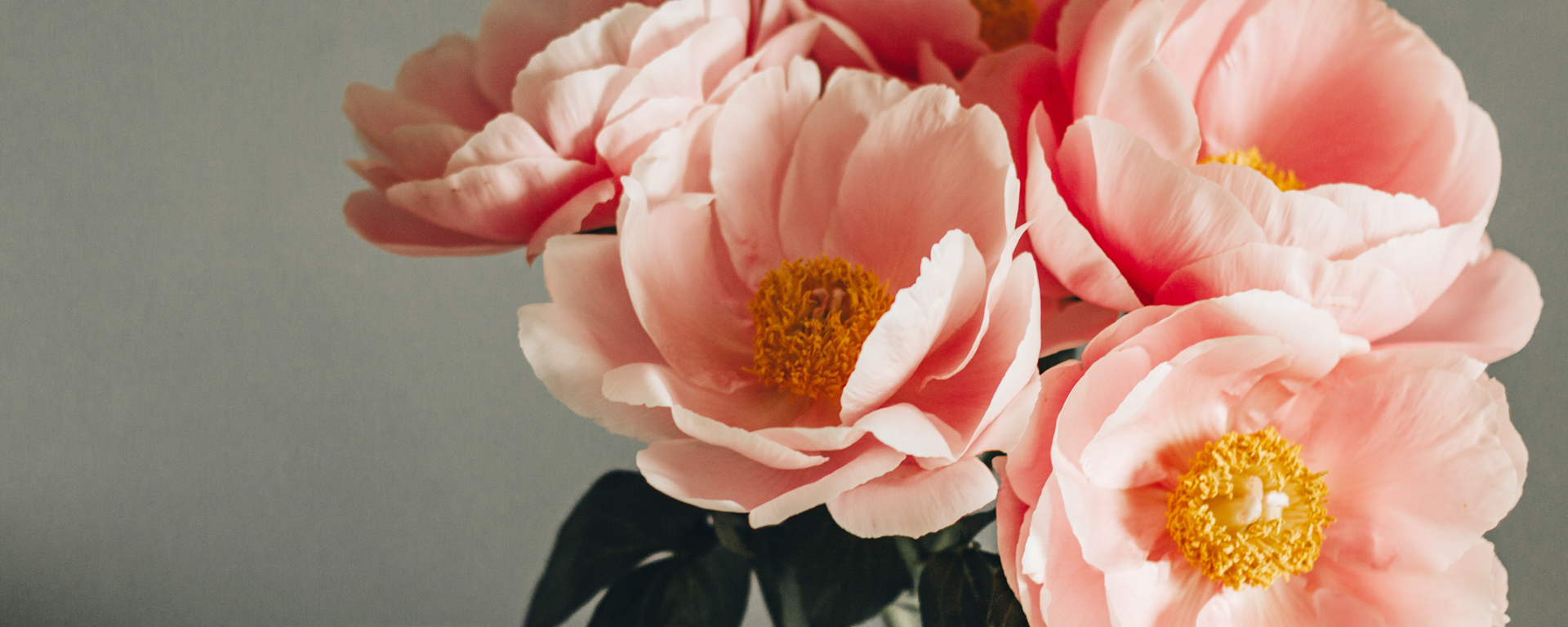 Fragrance