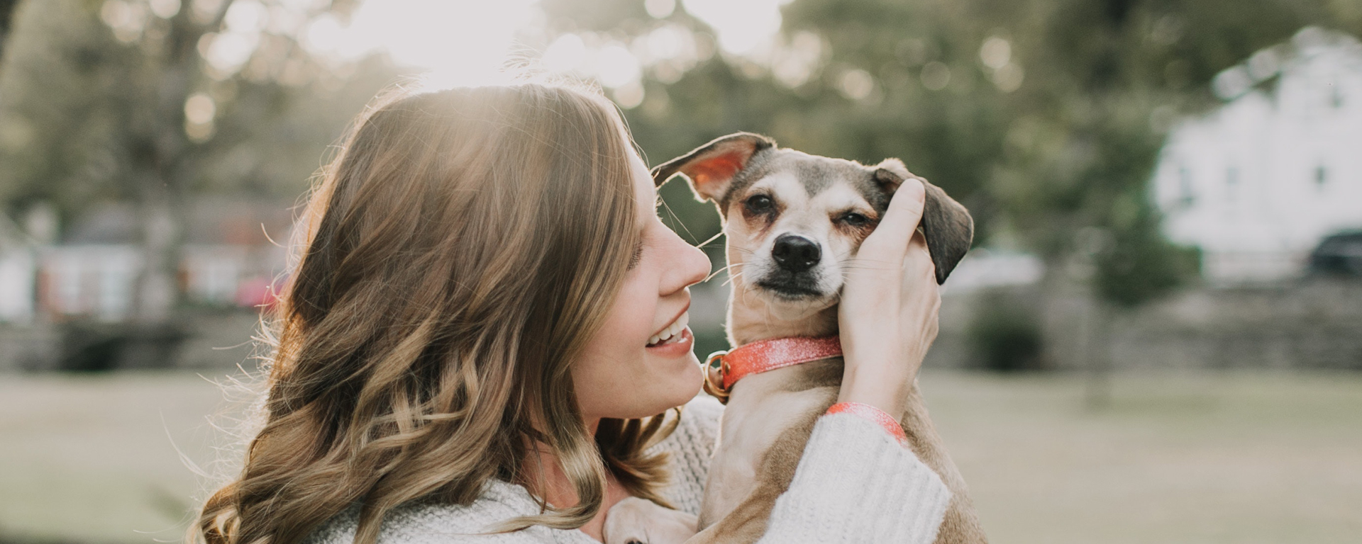 Pet Care